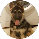 Helen profile picture